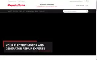 Magnetoelectric.com Screenshot 2024-06-13 23:59:52