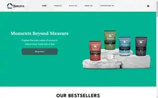 Breleva.com Screenshot 2024-05-29 01:08:49