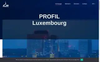 Profil-luxembourg.lu Screenshot 2024-07-04 21:16:08
