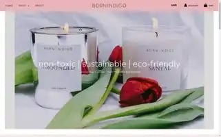 Bornindigo.com Screenshot 2024-05-04 22:12:31