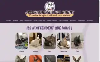 Associationhappybunny.com Screenshot 2024-06-15 05:58:43