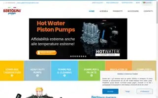 Bertolinipumps.com Screenshot 2024-06-13 03:12:58