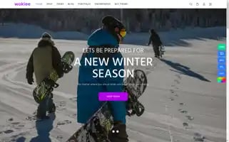 Wokiee-skins.myshopify.com Screenshot 2024-05-04 10:11:59