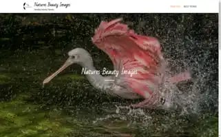 Naturesbeautyimages.com Screenshot 2024-05-17 01:50:28