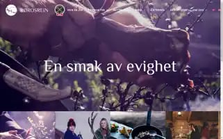 Rorosrein.no Screenshot 2024-06-12 04:45:05