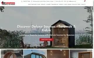 Bsaunas.com Screenshot 2024-06-16 13:53:59