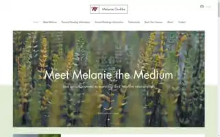 Melaniegrubbs.com Screenshot 2024-07-01 23:31:42