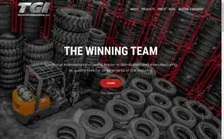 Tiregroup.com Screenshot 2024-05-16 21:33:49