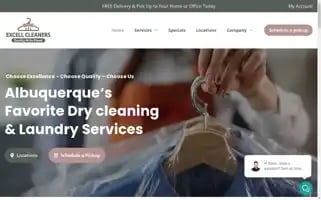 Theexcellcleaners.com Screenshot 2024-05-14 08:32:20