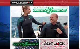 Hendersonusa.com Screenshot 2024-06-12 20:00:55
