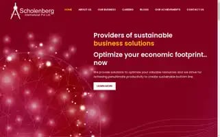 Scholenberg.com Screenshot 2024-06-17 11:43:12