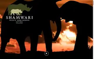 Shamwari.com Screenshot 2024-07-01 21:10:51