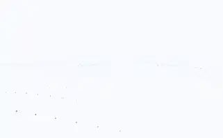 Alotemizlik.com Screenshot 2024-07-08 10:43:57