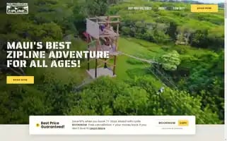 Nszipline.com Screenshot 2024-05-13 04:34:04