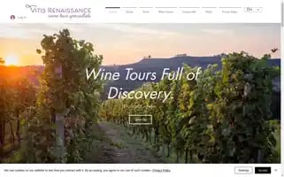 Vitrentours.com Screenshot 2024-04-16 17:54:59