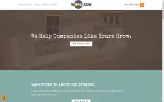 Wholesumagency.com Screenshot 2024-06-30 16:10:35