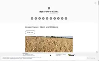 Pennerfarms.com Screenshot 2024-07-02 02:01:55