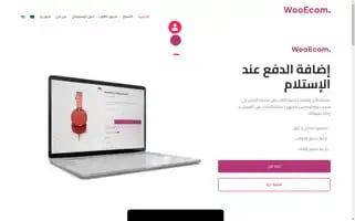 Wooecom.com Screenshot 2024-06-27 15:20:07