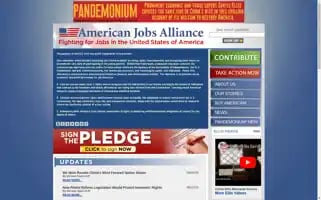 Americanjobsalliance.com Screenshot 2024-06-14 00:47:29
