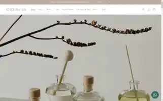 Iosoiskinlab.com Screenshot 2024-04-19 11:45:09