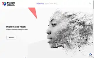 Trianglevisuals.com Screenshot 2024-05-20 11:37:52