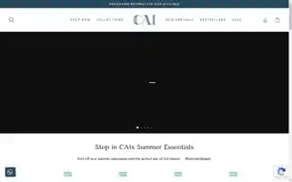 Thecaistore.com Screenshot 2024-05-04 08:28:51