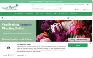 Peternyssen.com Screenshot 2024-07-09 06:56:10