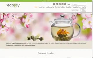 Teaposy.com Screenshot 2024-05-04 13:06:27