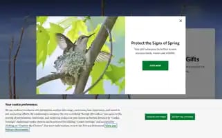 Nature.org Screenshot 2024-05-06 01:00:26