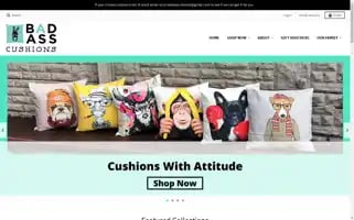 Badasscushions.ie Screenshot 2024-05-05 15:54:46
