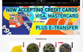 Getwhitepalm.com Screenshot 2024-06-13 06:12:14