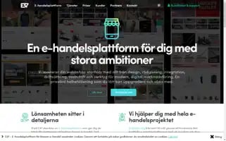 E37.se Screenshot 2024-06-14 17:50:56