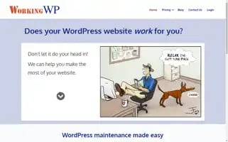 Workingwp.com.au Screenshot 2024-06-29 19:14:42