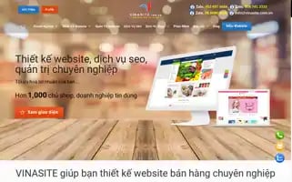 Vinasite.com.vn Screenshot 2024-06-16 04:09:30