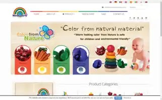 Wonderworldtoy.com Screenshot 2024-06-11 15:47:32