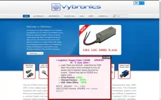 Vybronics.com Screenshot 2024-07-10 04:35:20