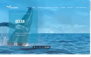 Ocean-wisdom.com Screenshot 2024-05-17 03:23:55