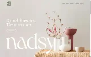 Nadsy.co.nz Screenshot 2024-05-03 14:47:46
