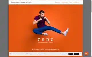 Perc.buzz Screenshot 2024-06-12 09:17:59