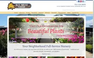 Bluemountnursery.com Screenshot 2024-05-08 19:59:37