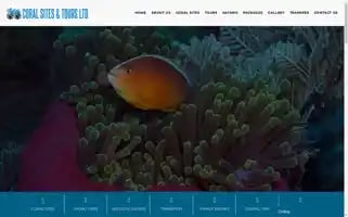 Zanzibarcoralsitestours.com Screenshot 2024-04-26 01:19:38