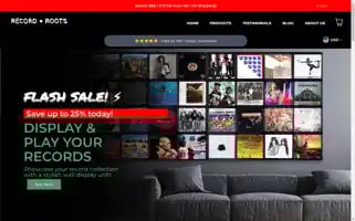 Record-roots.com Screenshot 2024-05-13 15:48:32