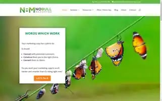 Nobullmarketing.com.au Screenshot 2024-05-13 03:59:01