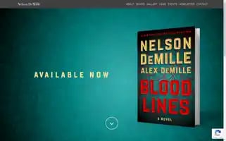 Nelsondemille.net Screenshot 2024-07-05 08:42:36