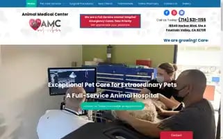 Amcfv.com Screenshot 2024-05-15 11:30:07