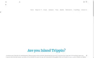 Islandtrippin.com Screenshot 2024-04-25 04:04:13