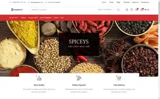Spiceys.net Screenshot 2024-05-26 06:20:42