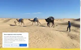 Reisetriptours.com Screenshot 2024-04-18 05:46:20