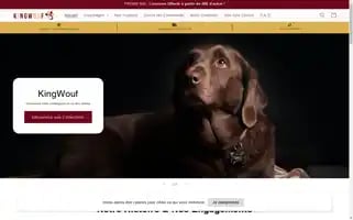 Kingwouf.com Screenshot 2024-05-03 22:08:43