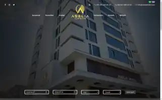 Aseliahotel.com Screenshot 2024-04-17 17:19:28